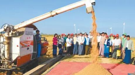 云天化集團深耕緬甸市場 打造東南亞“肥糧聯動”新通道
