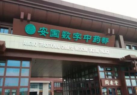 “千年藥都”安國打造現代“國際范兒”