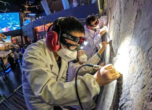 國家海洋博物館首次公開修復化石全過程