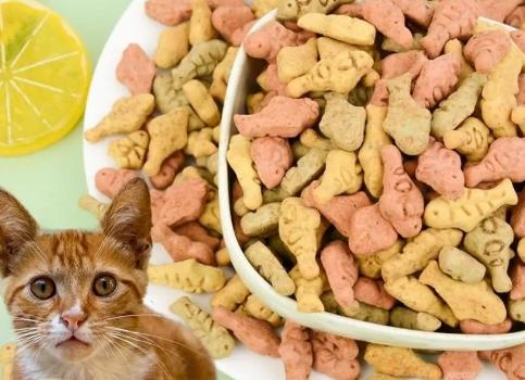 三重紅利加持 企業轉型升級　寵物食品賽道激戰正酣