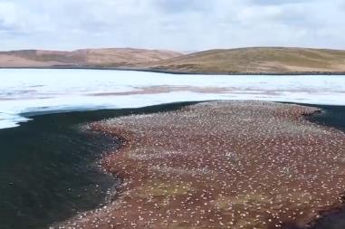 我國全面完成生態保護紅線劃定