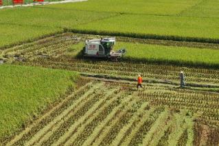 農業農村部農機化總站一行赴瓊調研農機化工作