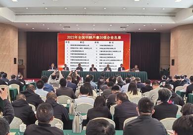 甲醇成為我國第二種產能規模在1億噸以上的石油化工產品