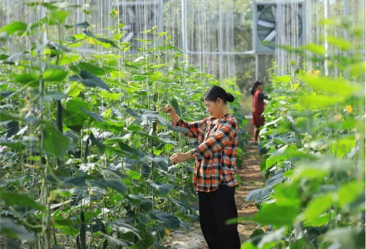 重慶智慧農業跑出加“數”度