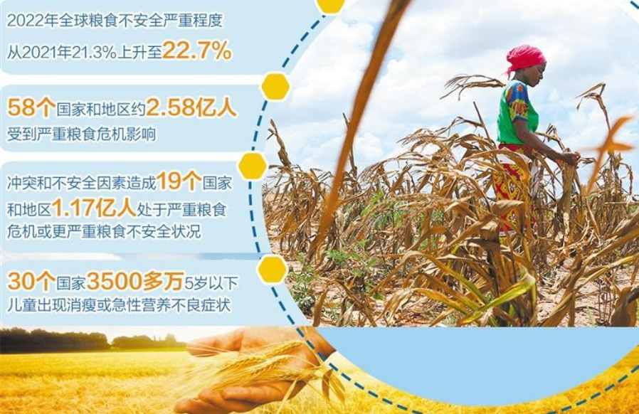 聯合國糧農組織發布報告顯示——全球糧食危機進一步加劇