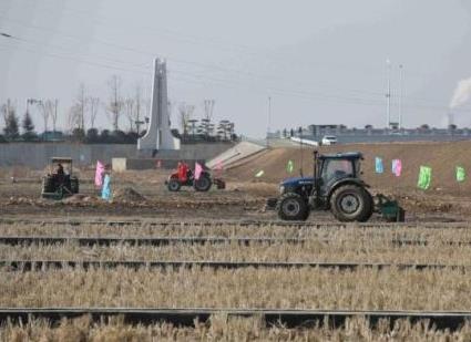 國家鹽堿地綜合利用技術創新中心加速建設 助“潛在糧倉”煥綠生金