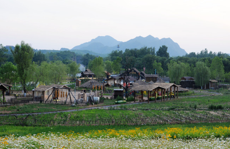 河北保定實施“七大產業提升工程” 助力鄉村全面振興