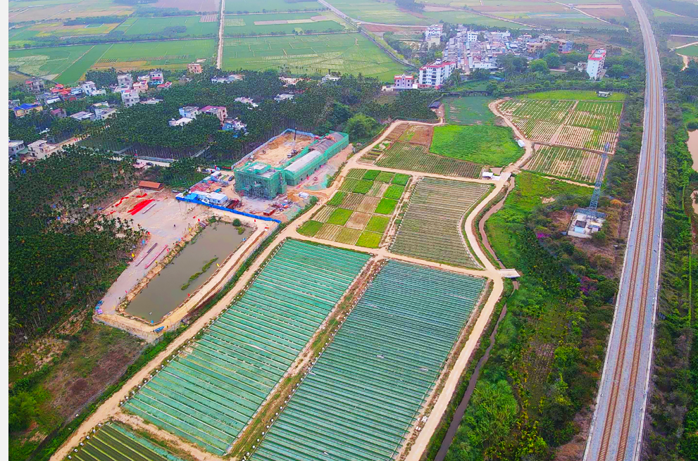 全球最大的野生稻種質資源圃主體建成