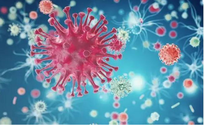 新冠疫情不再“國際關注”，后續如何防控