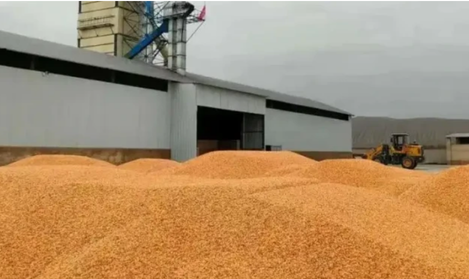 關于加快糧食產地烘干能力建設的意見