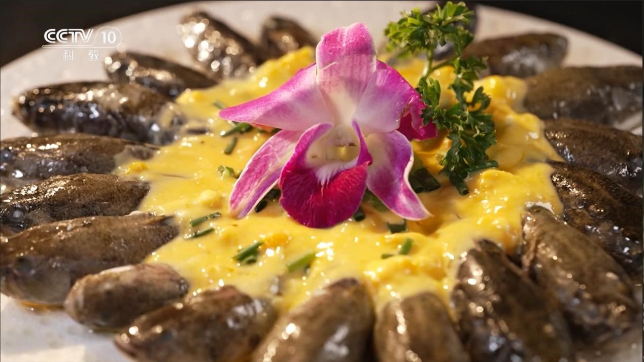 20230519192319842.jpg 20230519192319842.jpg