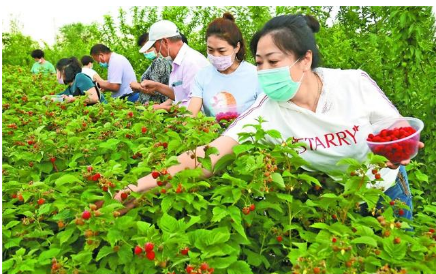 向幸福旅程進發 各地探索旅游業新動能