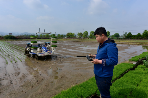 無人駕駛插秧機、精選雜交品種……各地搶抓農時有妙招