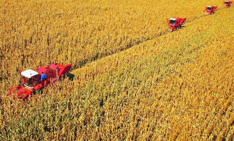 吉林拓寬糧食產業高質量發展“新糧道”