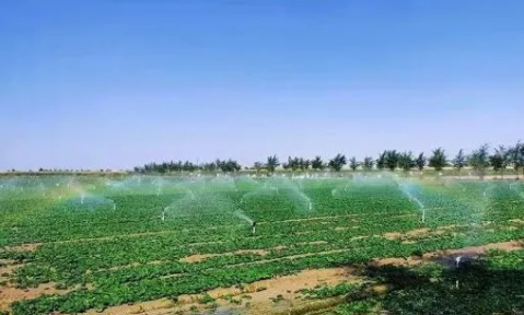 甘肅民勤：“智慧”解碼驅動農業升級