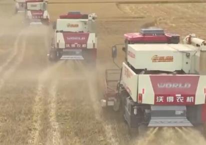 農機共享 聯合“作戰” 多地組織大型機械連夜收割保豐收
