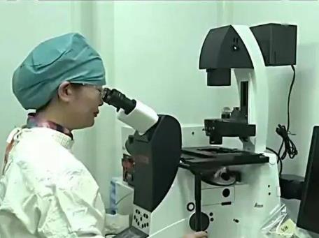 《卵巢組織凍存移植技術規范》 造福更多女性患者