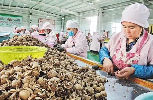 新疆和田：勞動密集型產業托舉“穩穩的幸福”