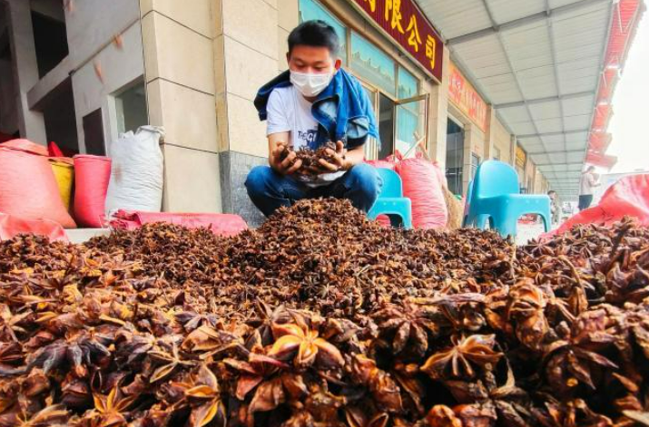 廣西玉林大力發展香料產業把香料做成香“鏈”