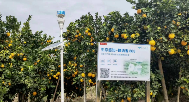 中國移動聚焦數字經濟“一號工程” 共繪贛鄱“精彩畫卷”