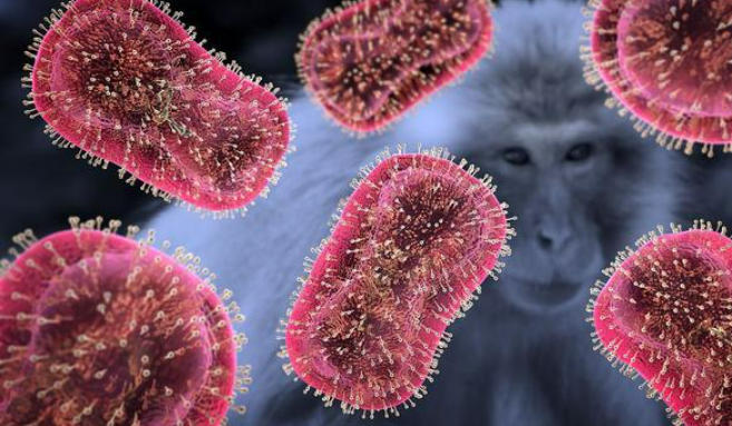 如何科學應對猴痘病毒？專家回應熱點關切