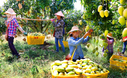 海南自貿港熱帶特色高效農業招商推介活動在廣州舉辦