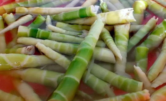 云南省保山市昌寧縣獲“中國甜筍之鄉”稱號