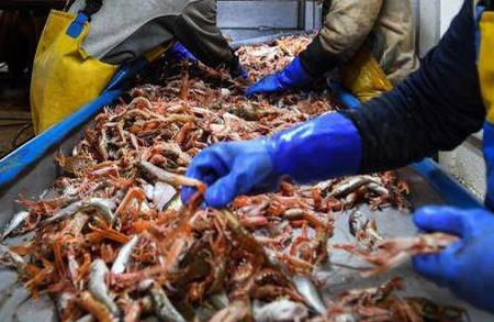 海關總署批準11家法國水產品企業在華注冊