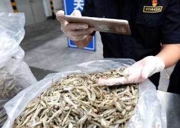 前5個月我國進口非洲農食產品增長26.5%