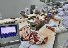 為肉類加工產業提供科技動能