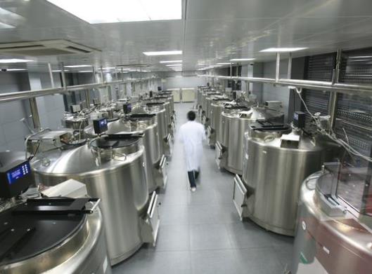 藍皮書：我國臍帶血庫庫容量穩步攀升，臨床應用案例增多