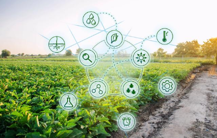 今年遼寧省10個縣開展綠色種養循環農業試點