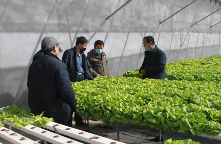 青海農業農村部門協調落實項目資金2.3億元 推動助企暖企見實效