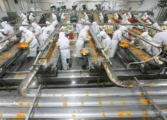 多地崛起食品產業集群 探索產業協同發展新模式