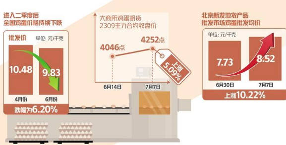 蛋價持續下跌后快速反彈 三季度雞蛋消費有望提振