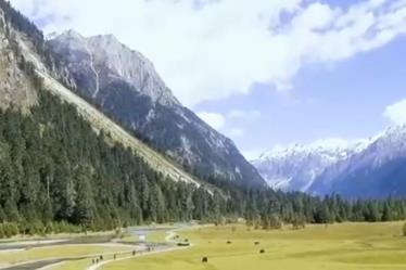 我國林草資源總量穩步增加 多種技術手段提升監測精準化程度