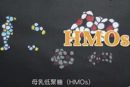 《母乳低聚糖（HMOs）的科學共識》發布 邁出產業化重要一步