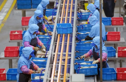 安徽霍邱：用“工業鍋”炒“農業菜” 布局預制菜新賽道