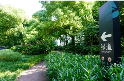 為城市增加“可穿行的綠洲”——上海推進綠色空間開放共享觀察