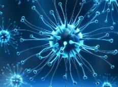 國家疾控局：EG.5變異株已在全球至少52個國家或地區被監測發現