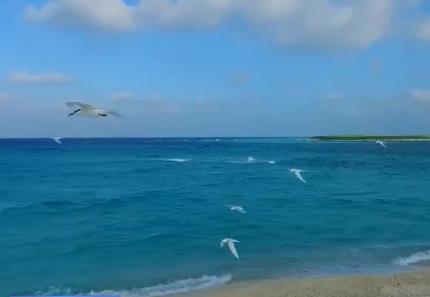 推進陸海污染治理 強化海洋環境監管