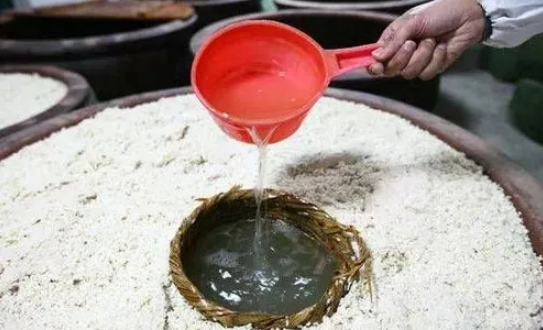 安徽米酒“釀出”鄉村振興“好滋味”