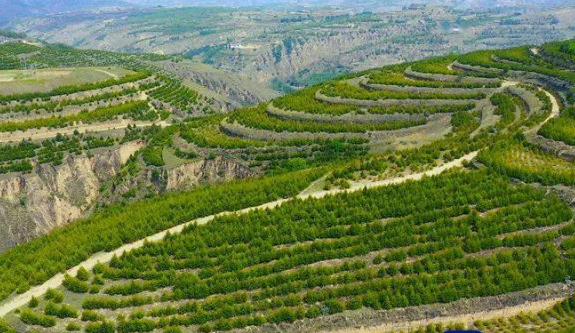 甘肅謀劃重點項目支撐 打好“三北”工程攻堅戰