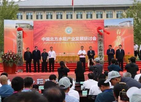 國家級水稻科技創新平臺落戶黑龍江 助力北方水稻產業提質增效