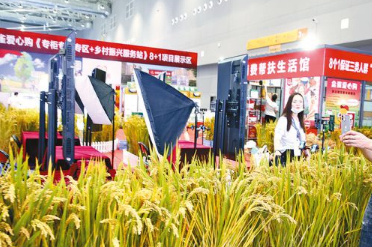 在中國農加會上看農業供給側改革