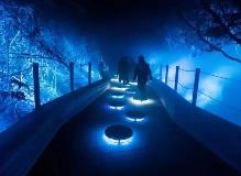 看景變“入景”，“出圈”又出彩 沉浸式旅游是怎樣的體驗？
