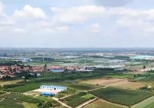 持續在耕地和種子上發力 山東已建成7400多萬畝高標準農田