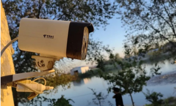 科技賦能 中國電信云網融合托起新疆養殖“智”富夢