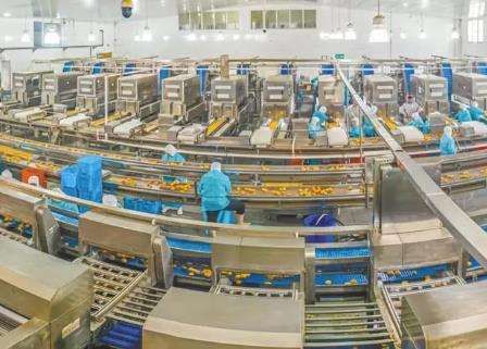 品味罐頭文化 感受產業蝶變  首屆罐頭文化節將在山東平邑舉行