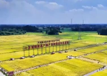 中國大地五谷豐登、瓜果飄香 一派豐收景象